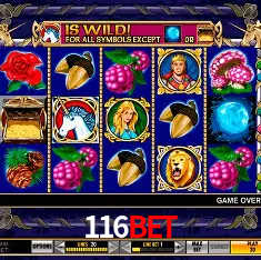 Descubra o Mundo do Cassino Online com 116bet